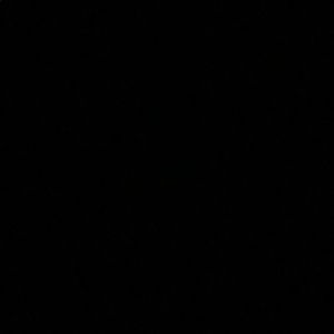 Meet your Posher, Isabella